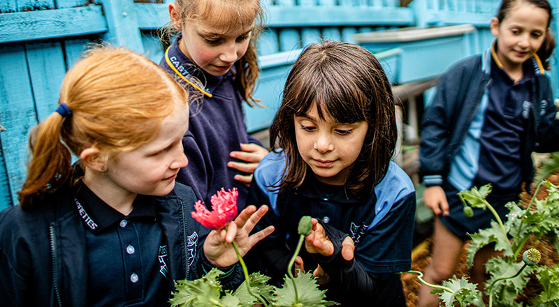 Educating for the Future - St Bernadette's Catholic Primary Castle Hill