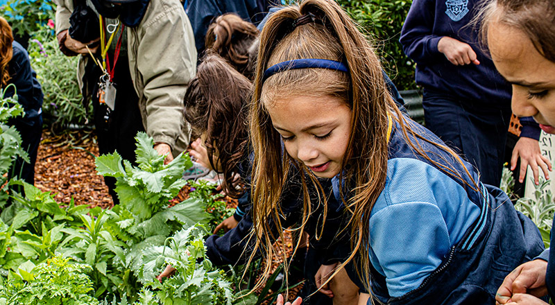 Our Story - St Bernadette's Catholic Primary Castle Hill