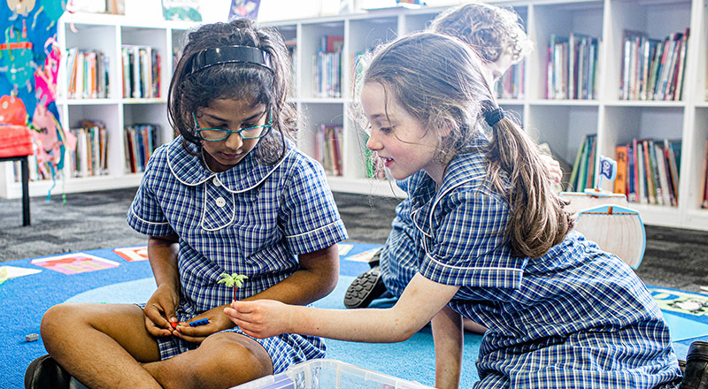 Policies and Procedures - St Bernadette's Primary Castle Hill