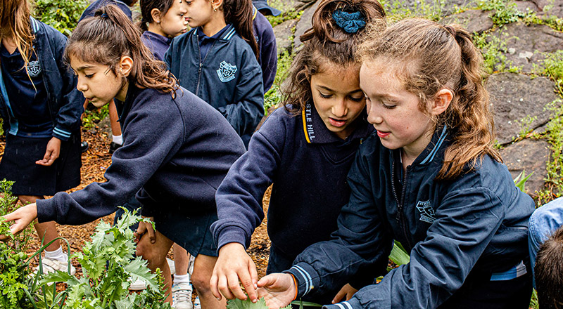 Policies and Procedures - St Bernadette's Primary Castle Hill