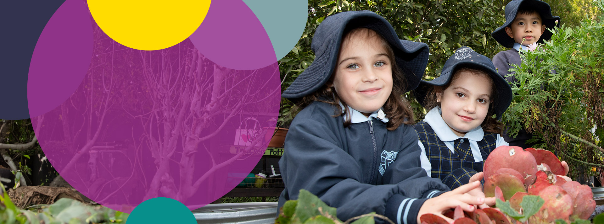 Capable, confident and compassionate