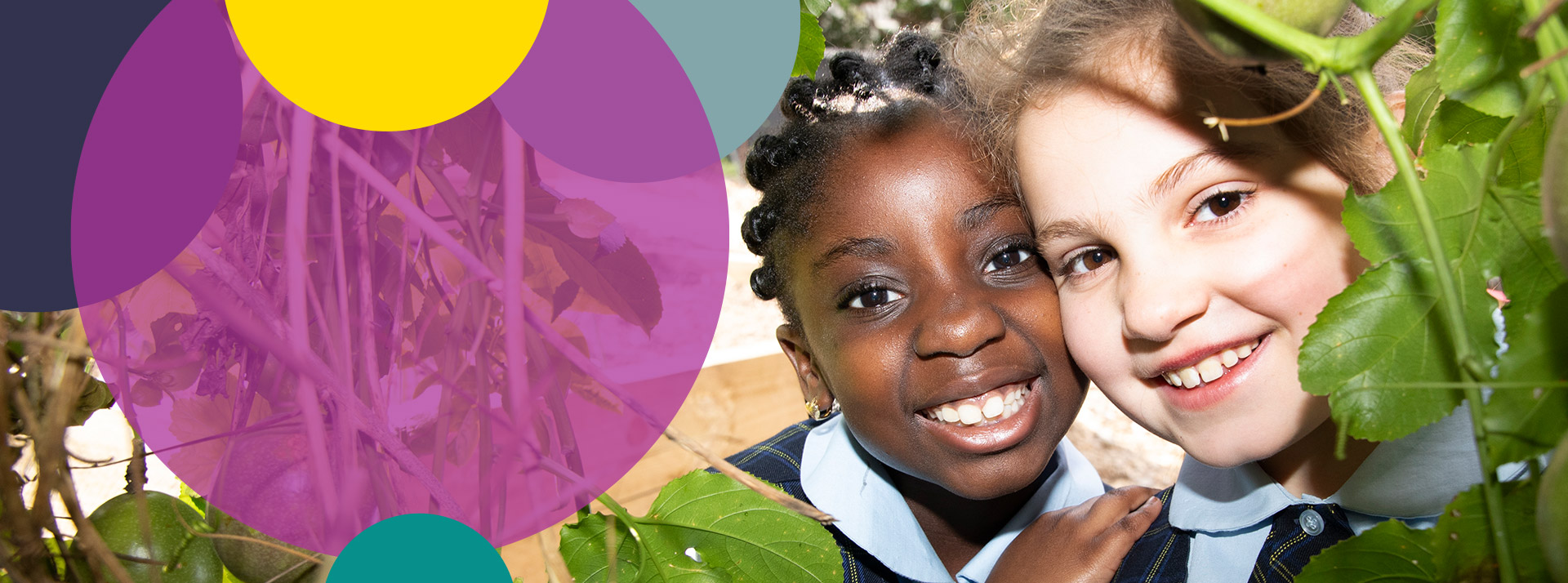 Highly skilled teachers