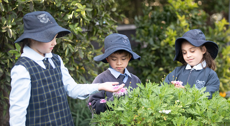 St Bernadette's Catholic Primary Castle Hill students enjoying the vegetable garden