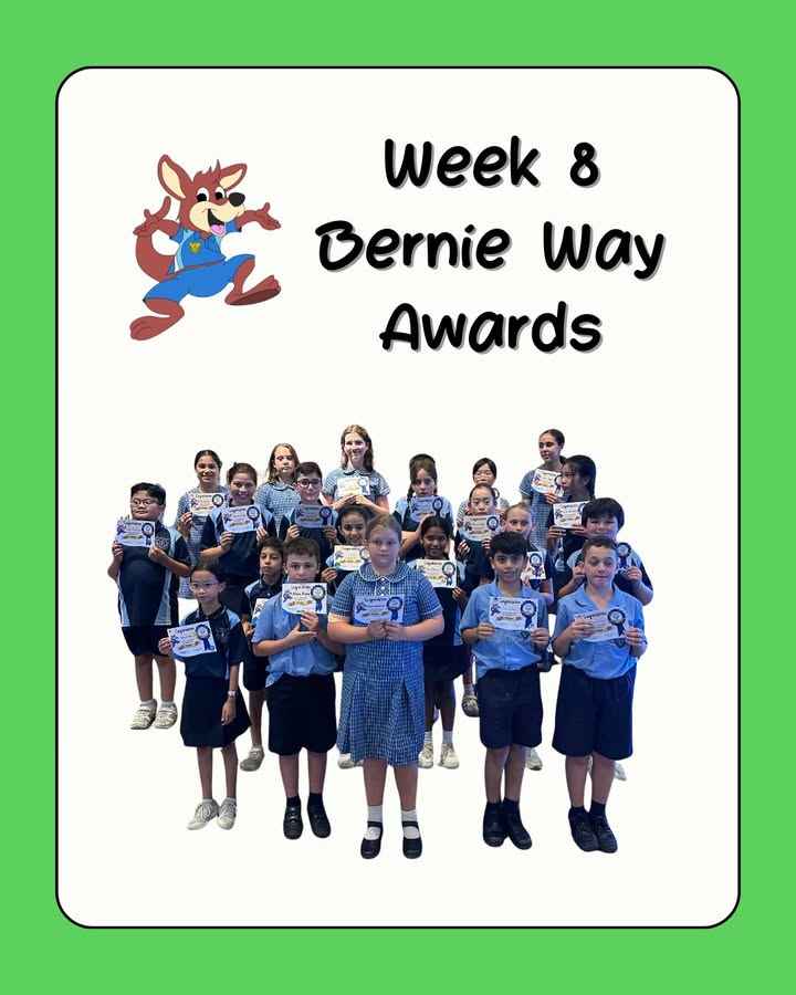 554557253339240_1492166446244978-1