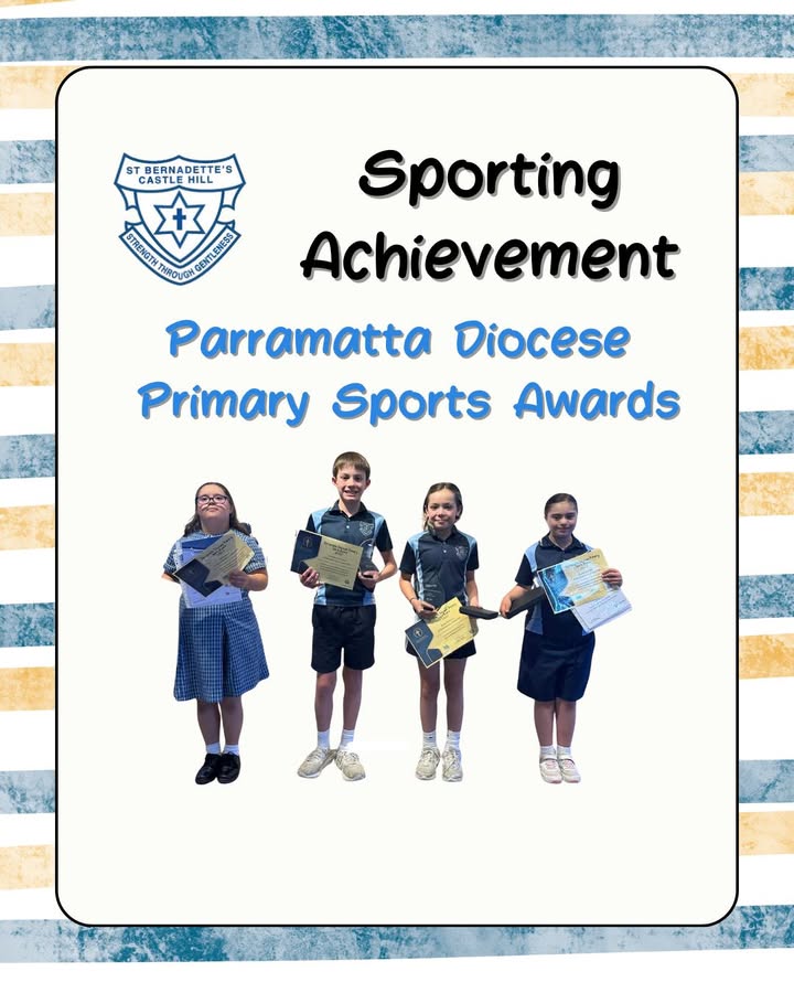 554557253339240_1492168252911464-1