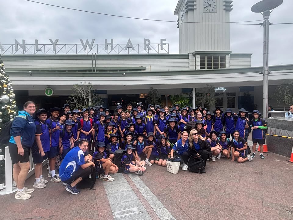 554557253339240_1501017642026525-1