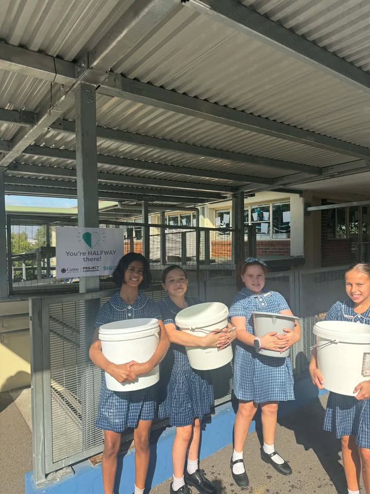 554557253339240_1572118971583058-1